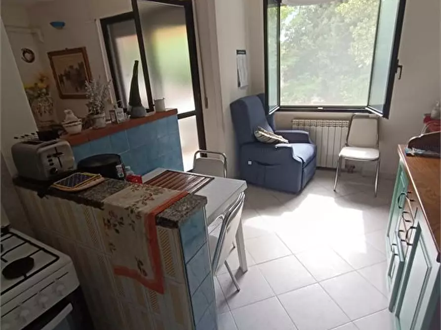 Immagine 3 di Appartamento in vendita  a Rosignano Marittimo