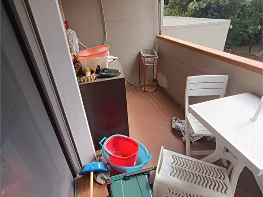 Immagine 6 di Appartamento in vendita  a Rosignano Marittimo