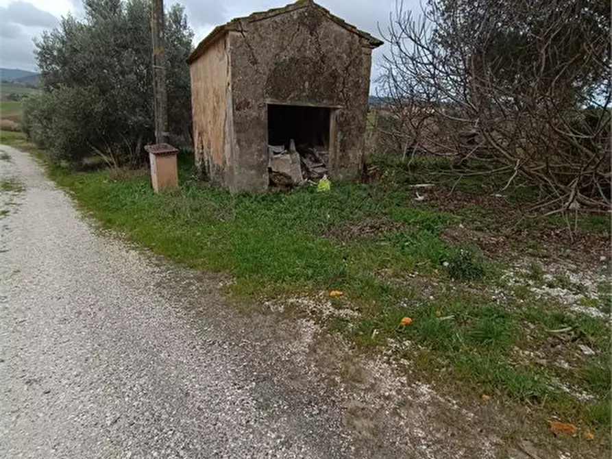 Immagine 9 di Rustico / casale in vendita  a Rosignano Marittimo