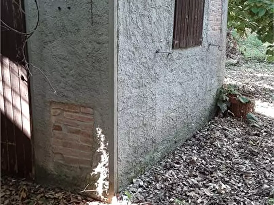 Immagine 3 di Terreno in vendita  a Rosignano Marittimo