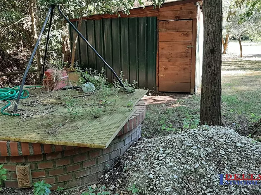 Immagine 4 di Terreno in vendita  a Rosignano Marittimo