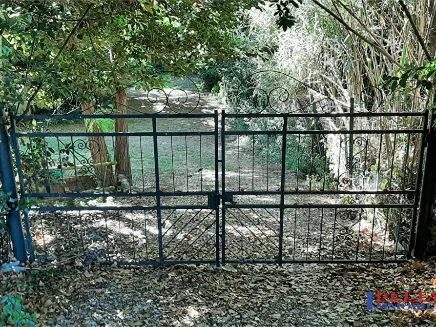Immagine 5 di Terreno in vendita  a Rosignano Marittimo