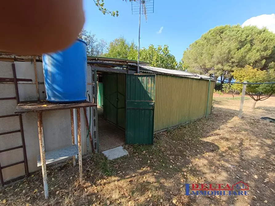 Immagine 8 di Terreno in vendita  a Rosignano Marittimo