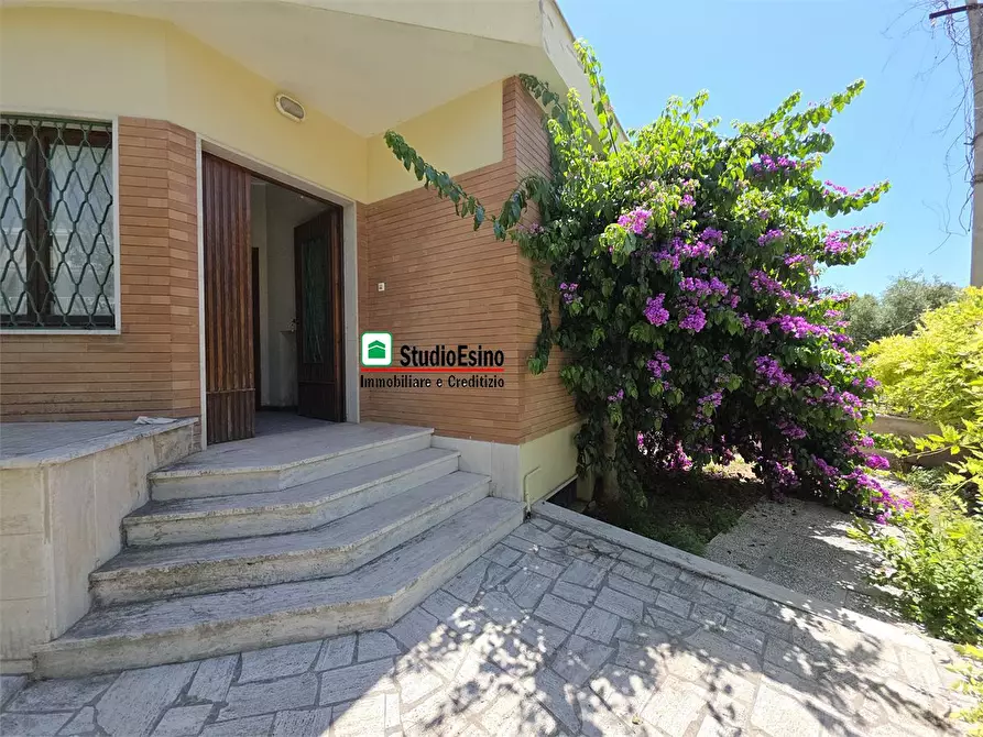 Immagine 5 di Appartamento in vendita  152 a Grottammare