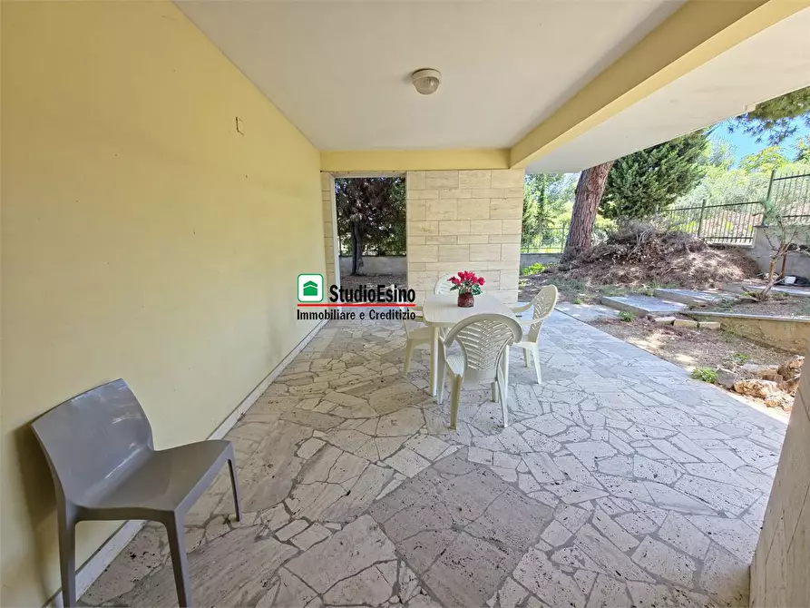 Immagine 8 di Appartamento in vendita  152 a Grottammare