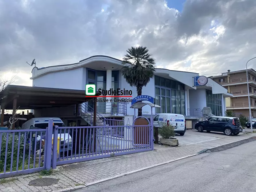 Immagine 4 di Attività artigianale in vendita  a Monsampolo Del Tronto