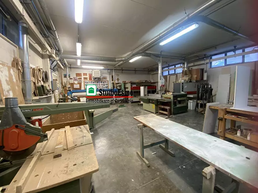 Immagine 6 di Attività artigianale in vendita  a Monsampolo Del Tronto