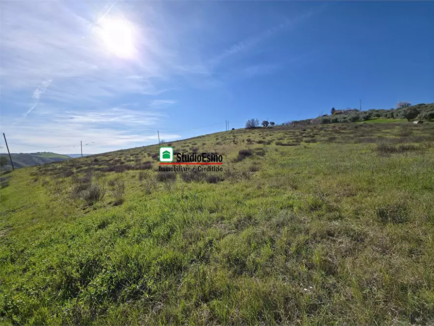 Immagine 2 di Terreno in vendita  a Appignano Del Tronto