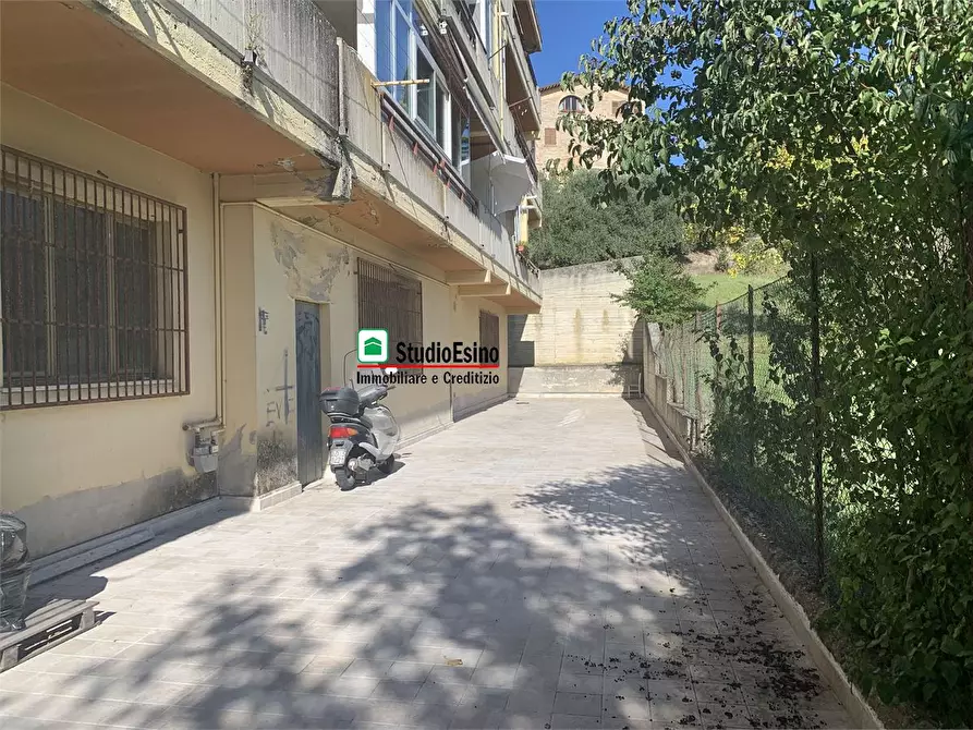 Immagine 5 di Negozio in vendita  20 a Monsampolo Del Tronto