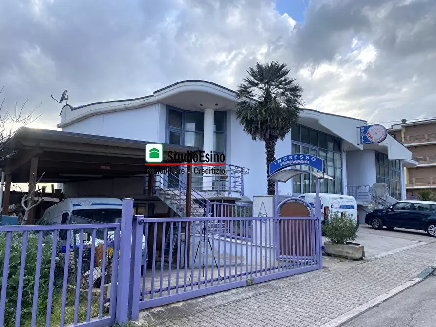 Immagine 1 di Negozio in vendita  a Monsampolo Del Tronto