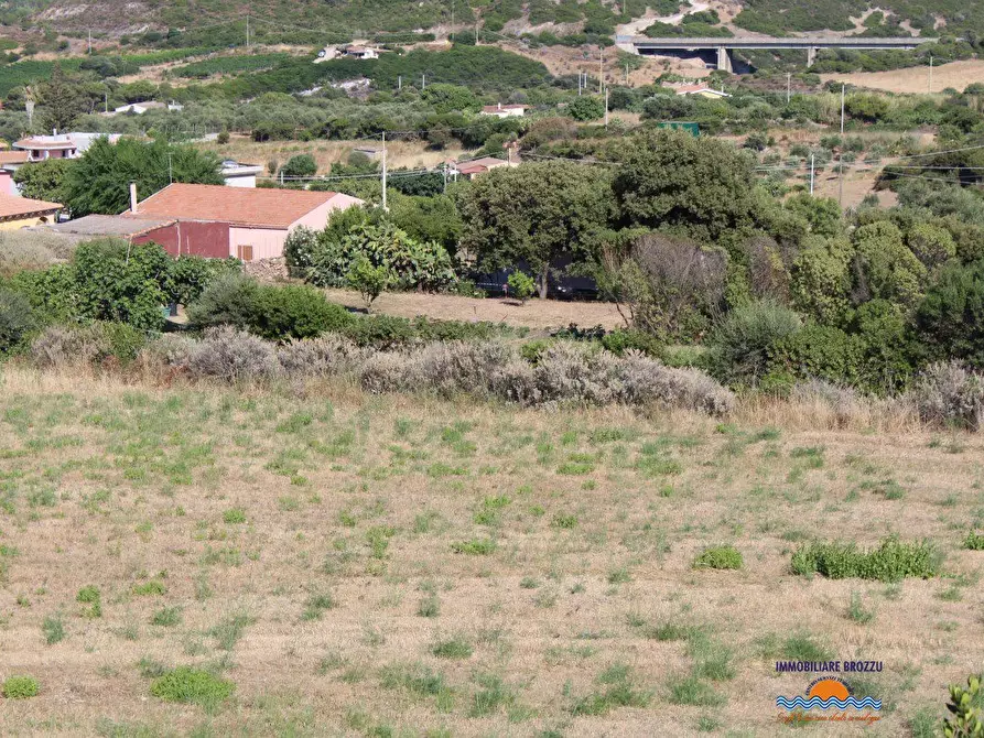 Immagine 3 di Terreno edificabile in vendita  a Castelsardo