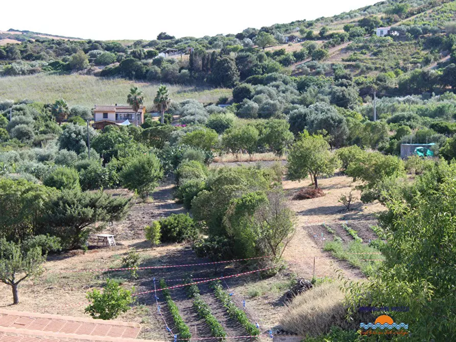 Immagine 6 di Terreno edificabile in vendita  a Castelsardo