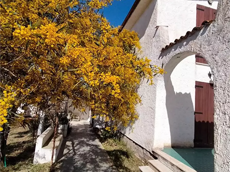 Immagine 7 di Villa in vendita  a Sorso