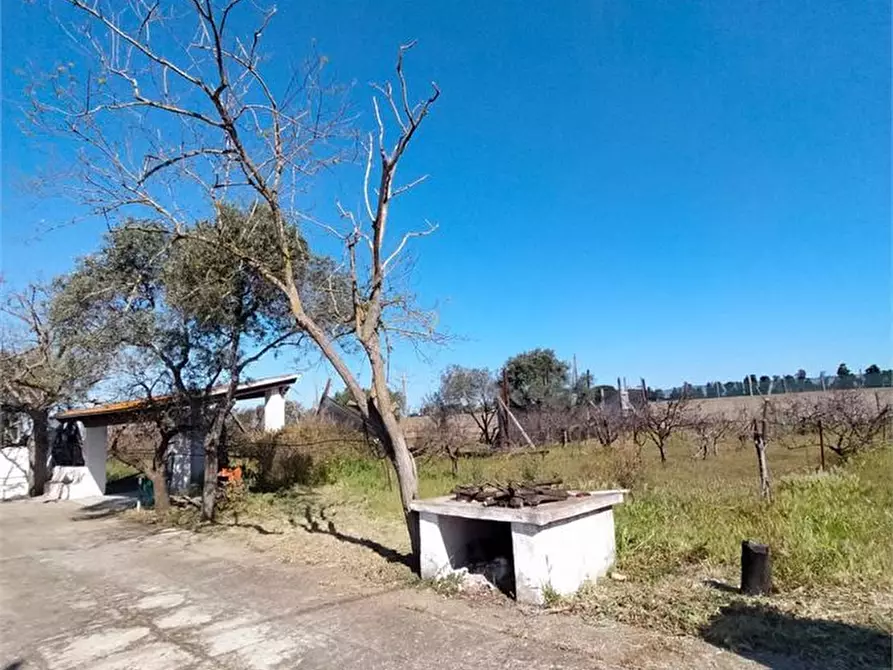Immagine 4 di Villa in vendita  a Sorso