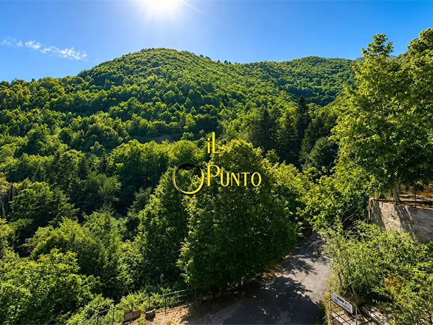 Immagine 2 di Appartamento in vendita  33 a Badalucco