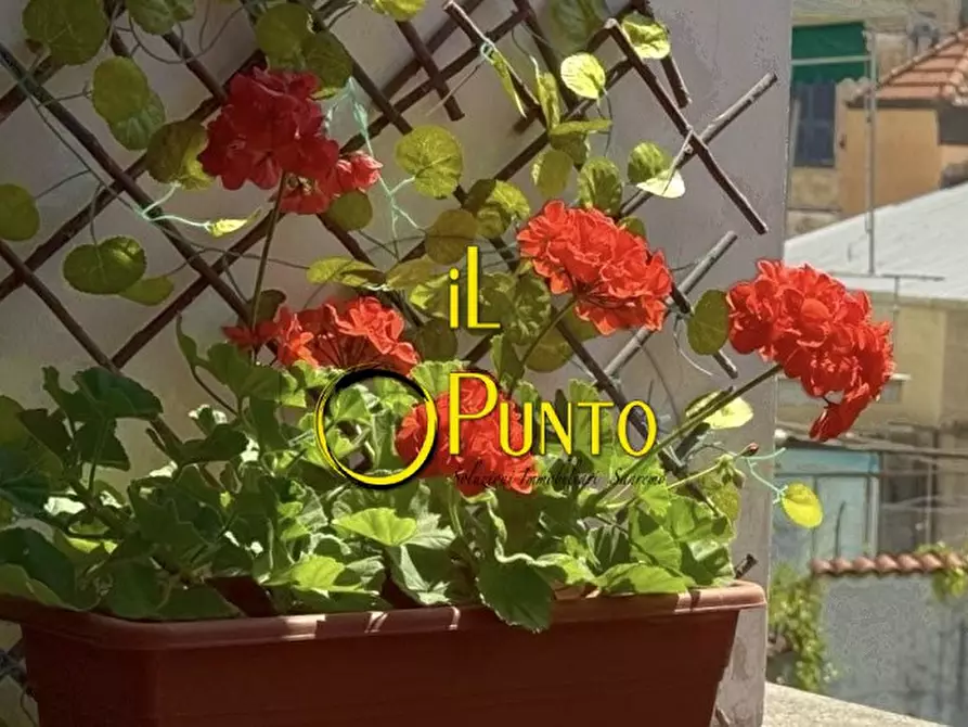 Immagine 4 di Appartamento in affitto  a San Remo