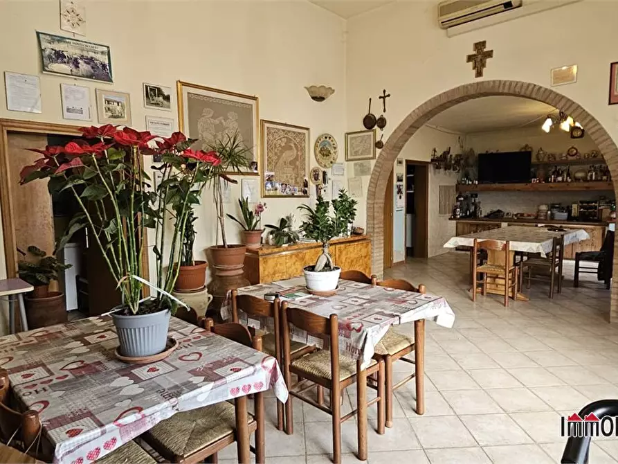 Immagine 6 di Azienda agricola in vendita  a Poggibonsi