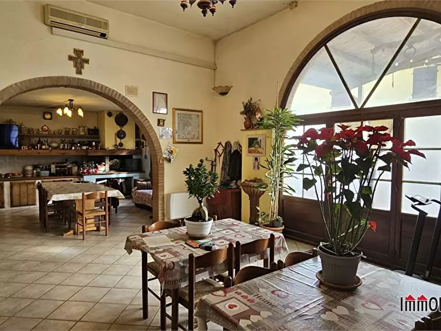 Immagine 7 di Azienda agricola in vendita  a Poggibonsi