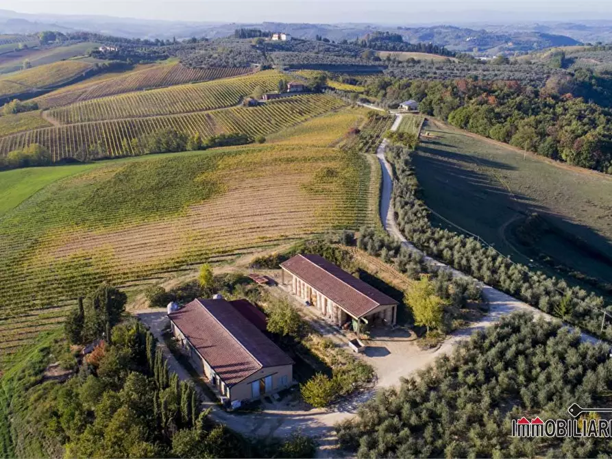 Immagine 1 di Azienda agricola in vendita  a Poggibonsi