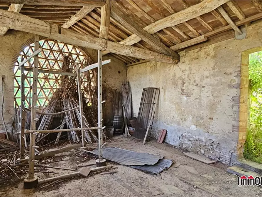 Immagine 8 di Azienda agricola in vendita  a Poggibonsi