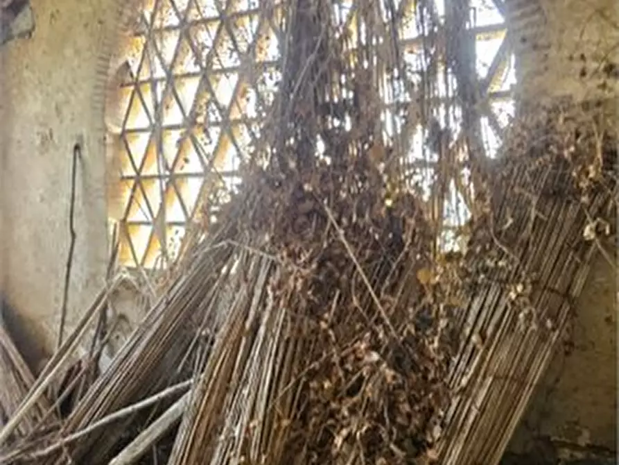 Immagine 6 di Azienda agricola in vendita  a Poggibonsi