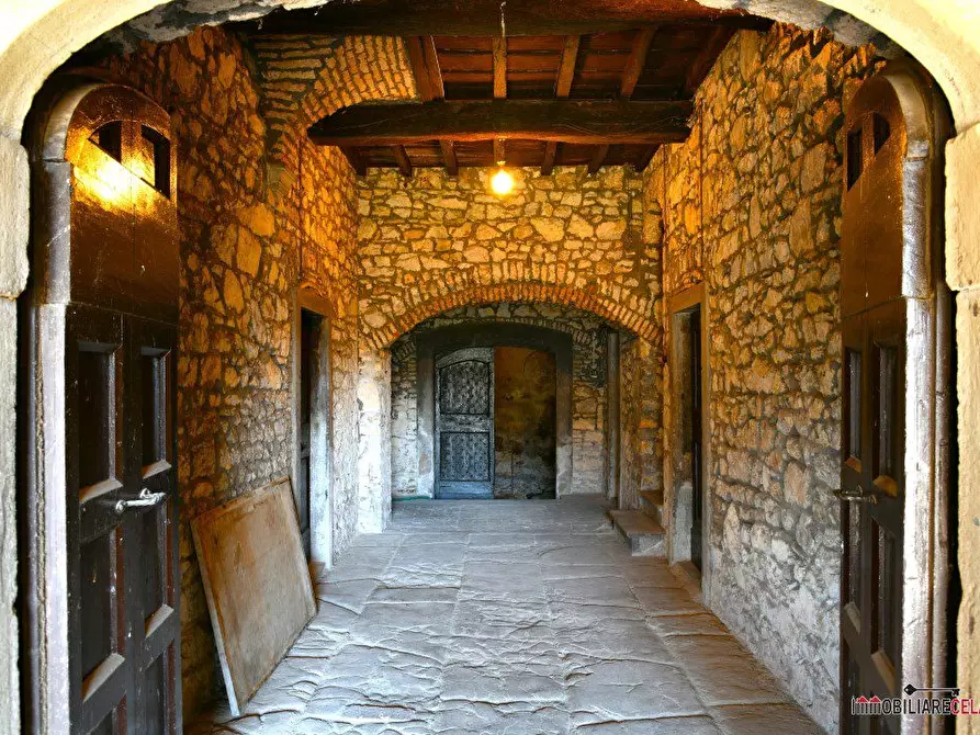 Immagine 7 di Azienda agricola in vendita  a Castellina In Chianti