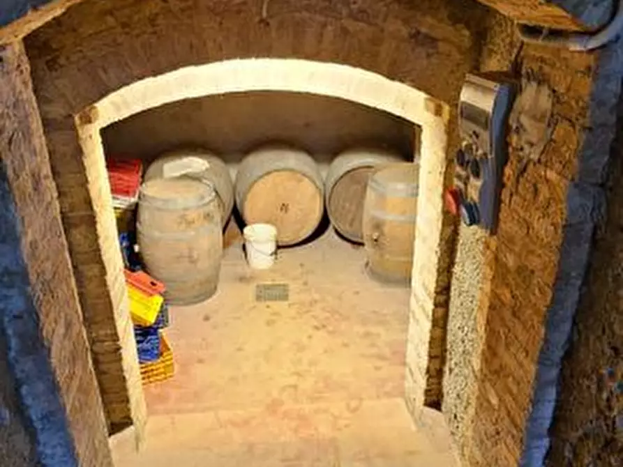 Immagine 3 di Azienda agricola in vendita  a San Gimignano