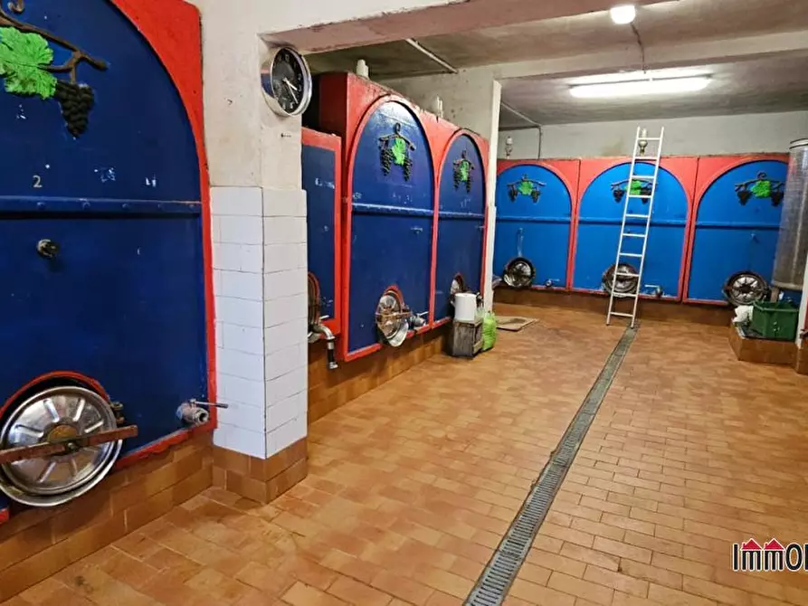 Immagine 4 di Azienda agricola in vendita  a San Gimignano