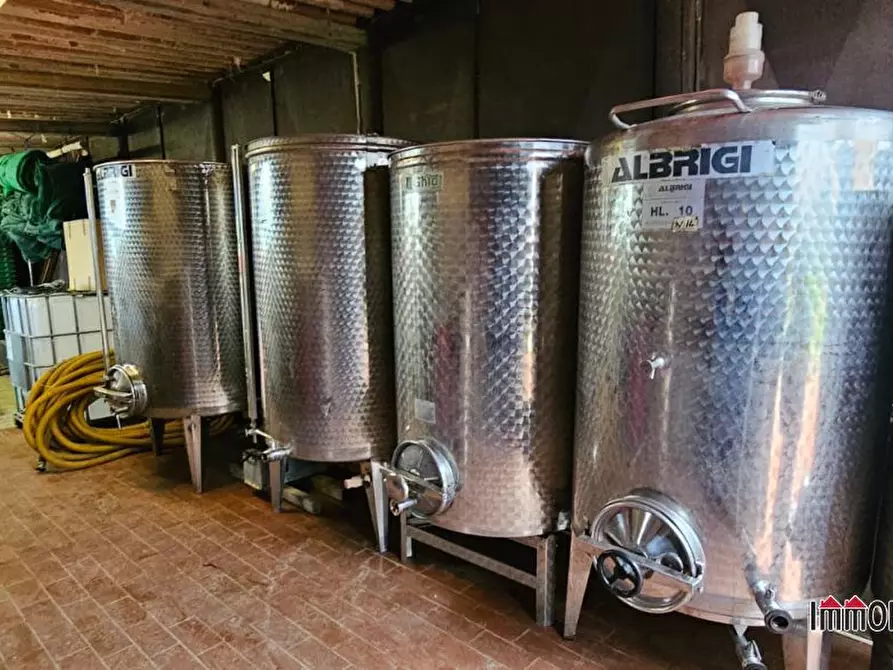 Immagine 1 di Azienda agricola in vendita  a San Gimignano