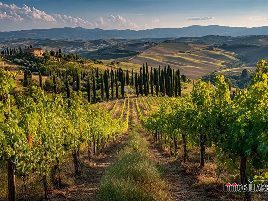 azienda agricola in vendita a San Gimignano