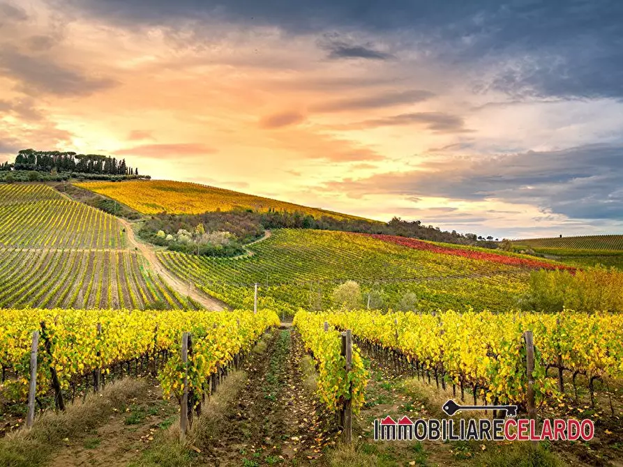 Immagine 3 di Azienda agricola in vendita  a San Gimignano