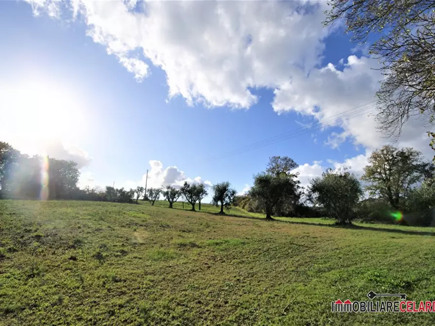 Immagine 8 di Rustico / casale in vendita  a Casole D'elsa