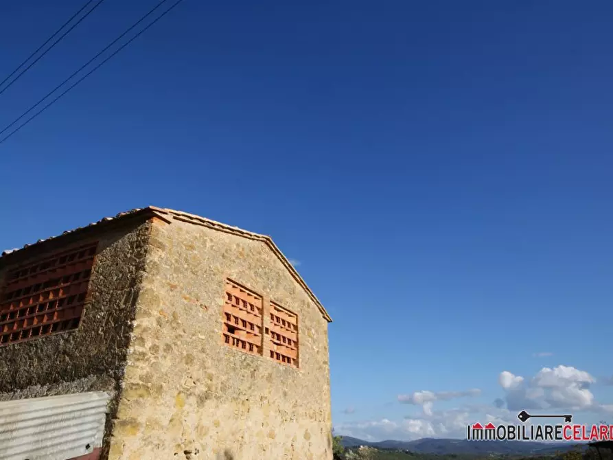 Immagine 6 di Rustico / casale in vendita  a Casole D'elsa
