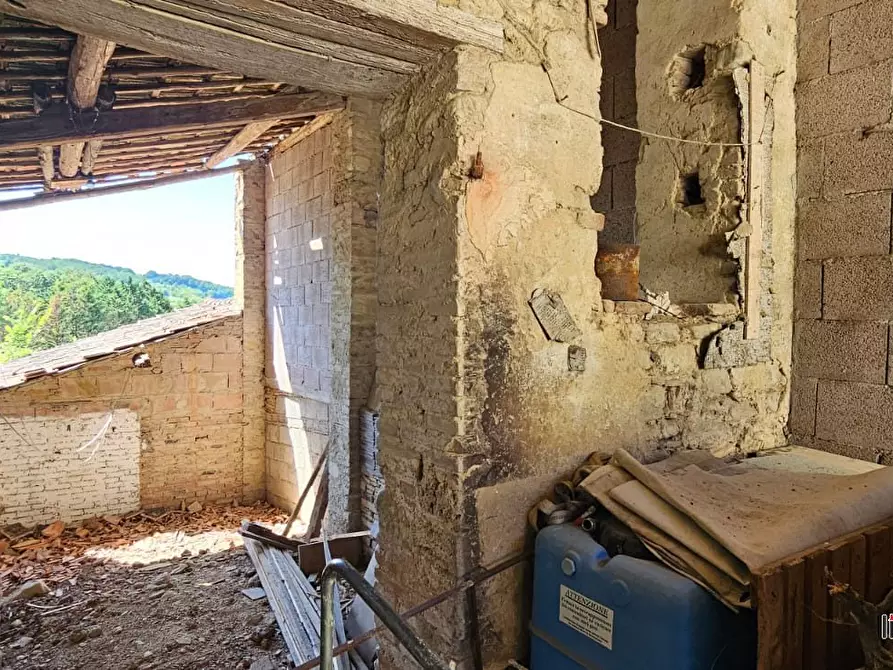 Immagine 2 di Rustico / casale in vendita  a Poggibonsi