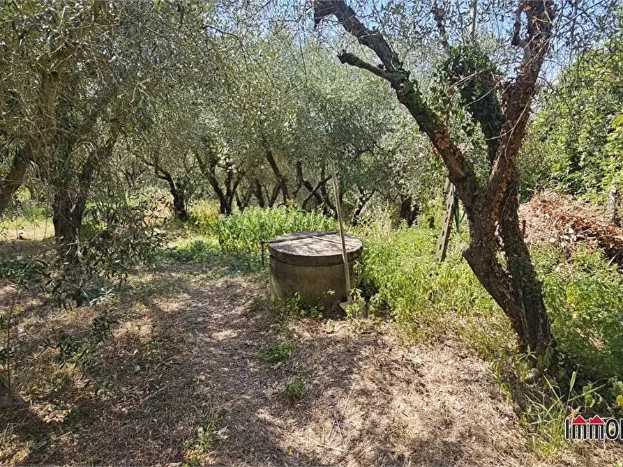 Immagine 3 di Terreno in vendita  a Colle Di Val D'elsa