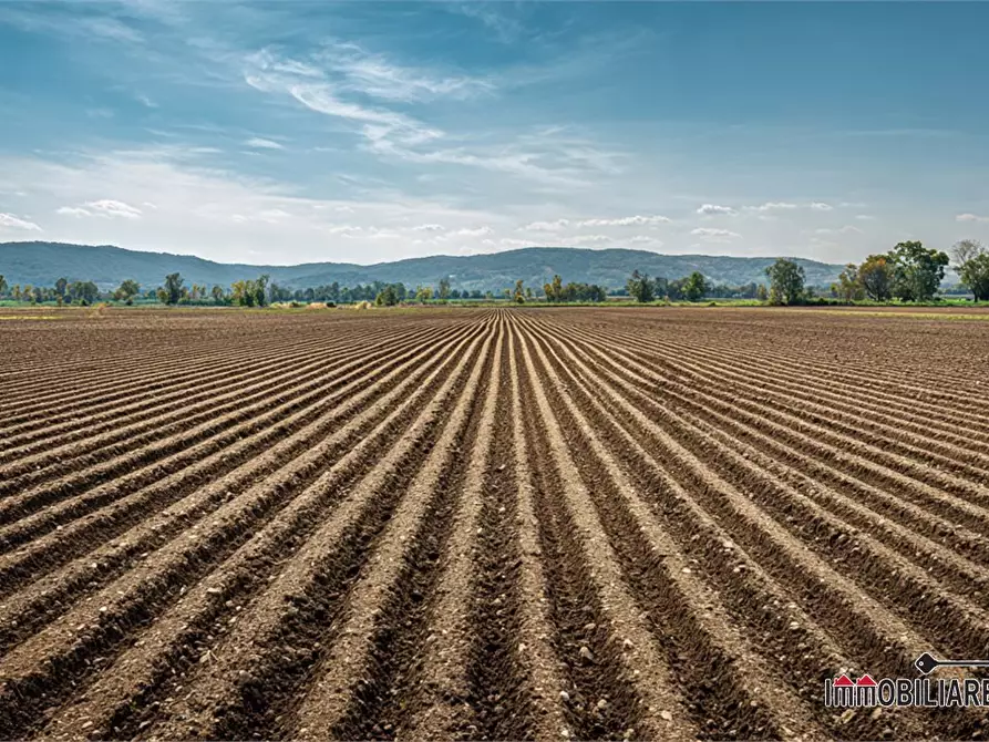 terreno agricolo in vendita a Colle di Val d'Elsa