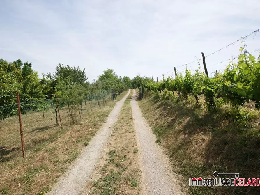 Immagine 6 di Terreno in vendita  a Colle Di Val D'elsa