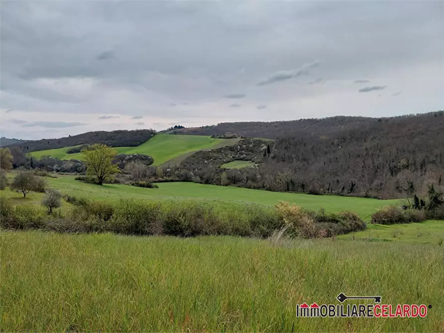 Immagine 1 di Terreno in vendita  a Poggibonsi
