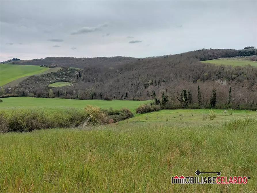 Immagine 4 di Terreno in vendita  a Poggibonsi