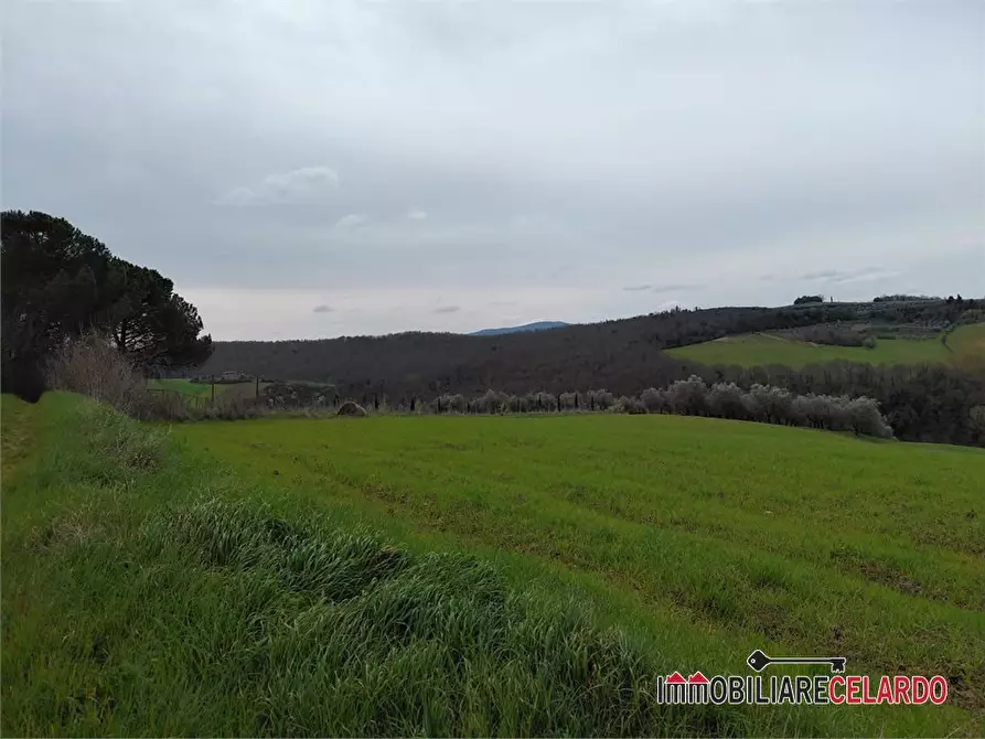 Immagine 7 di Terreno in vendita  a Poggibonsi