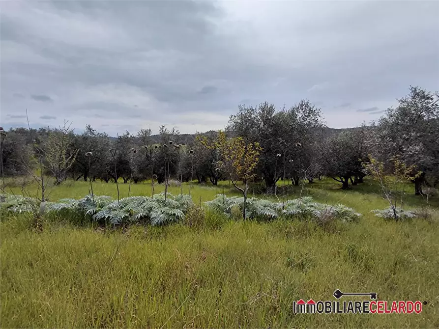Immagine 6 di Terreno in vendita  a Poggibonsi