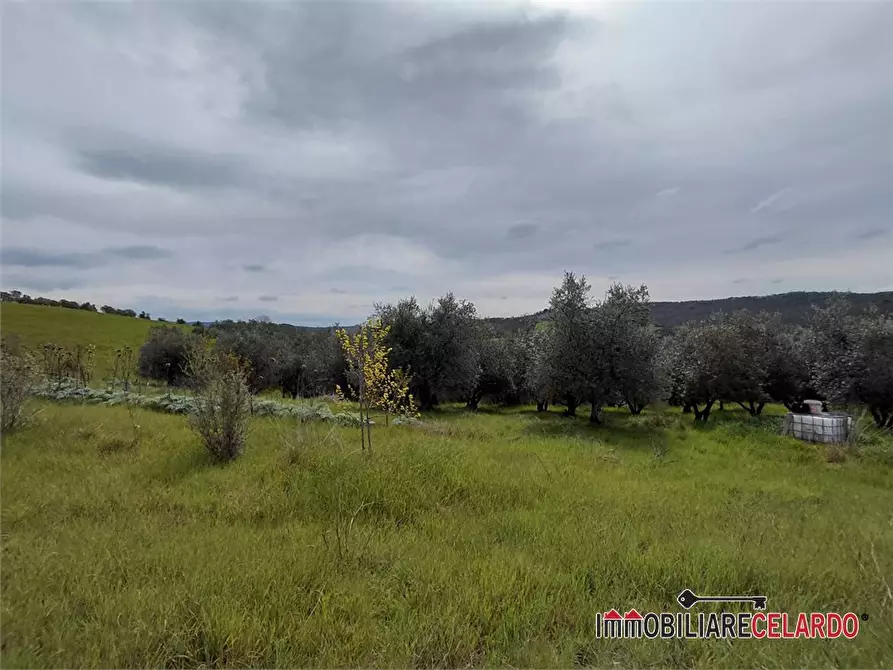 Immagine 10 di Terreno in vendita  a Poggibonsi