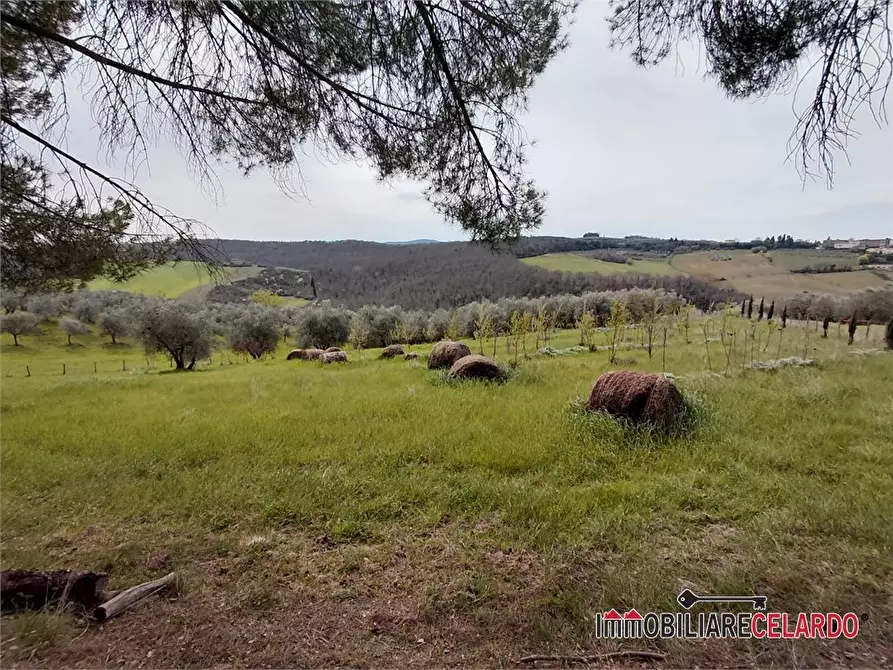 Immagine 8 di Terreno in vendita  a Poggibonsi