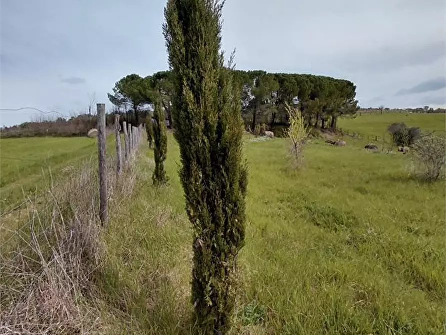 Immagine 5 di Terreno in vendita  a Poggibonsi