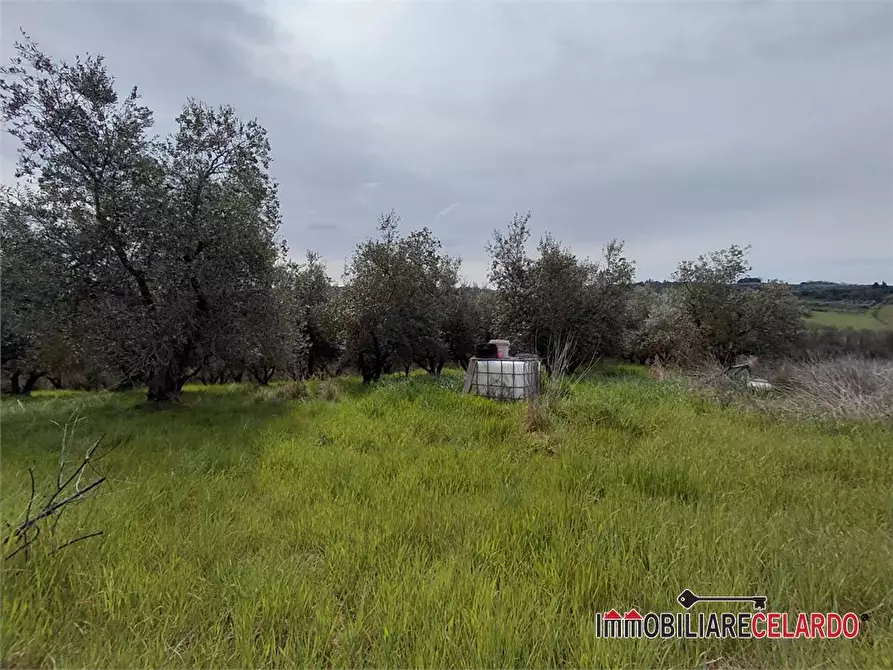 Immagine 3 di Terreno in vendita  a Poggibonsi