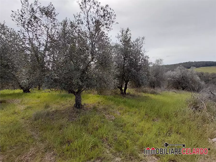 Immagine 9 di Terreno in vendita  a Poggibonsi