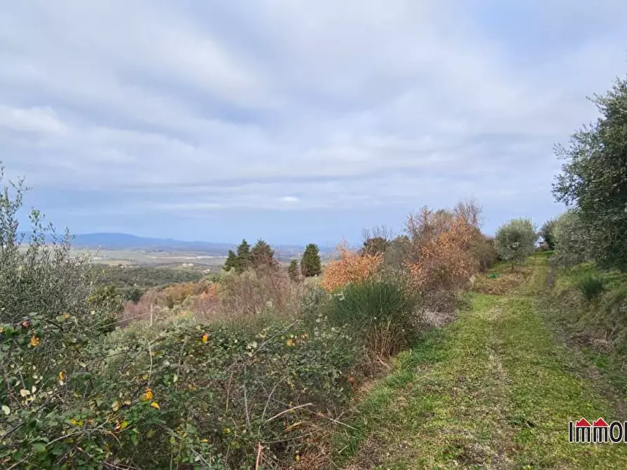 Immagine 3 di Terreno in vendita  a Casole D'elsa