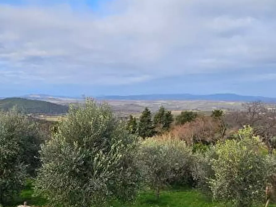 Immagine 1 di Terreno in vendita  a Casole D'elsa