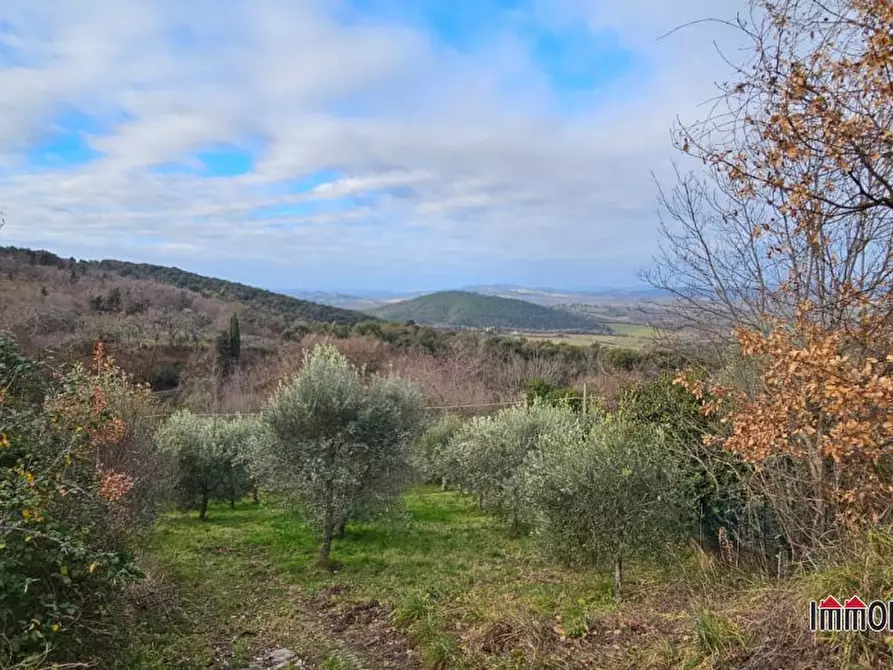Immagine 2 di Terreno in vendita  a Casole D'elsa