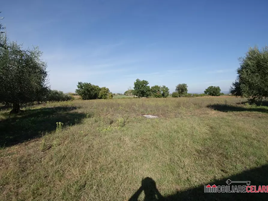 Immagine 2 di Villa in vendita  a Colle Di Val D'elsa